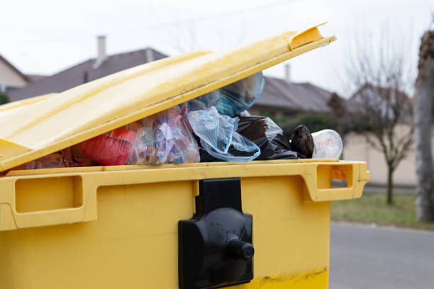 Best Basement Cleanout  in Payson, IL